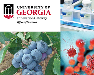 University of Georgia Innovation Gateway Brochure